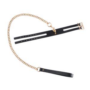 Obojek s vodítkem GP PREMIUM COLLAR LEASH SET black